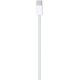 Apple USB-C Woven Charge Cable (1m)